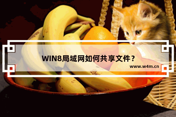 WIN8局域网如何共享文件？