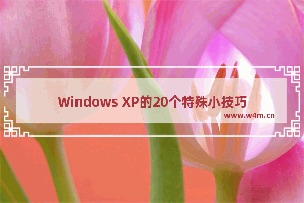 Windows XP的20个特殊小技巧