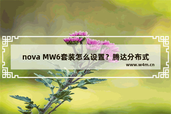 nova MW6套装怎么设置？腾达分布式路由nova MW6配置图文教程