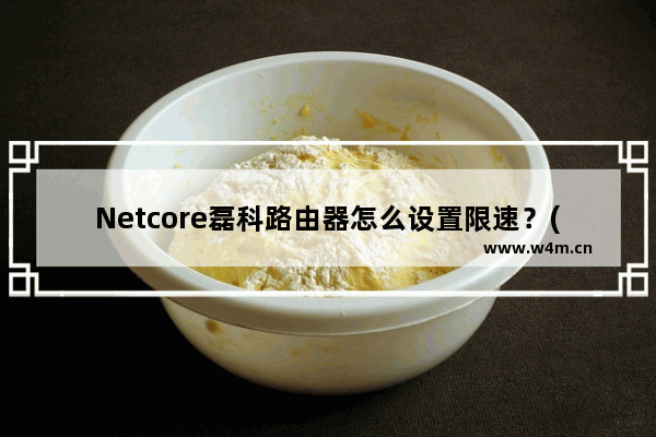 Netcore磊科路由器怎么设置限速？(如何设置网芯雷科路由器的限速？)