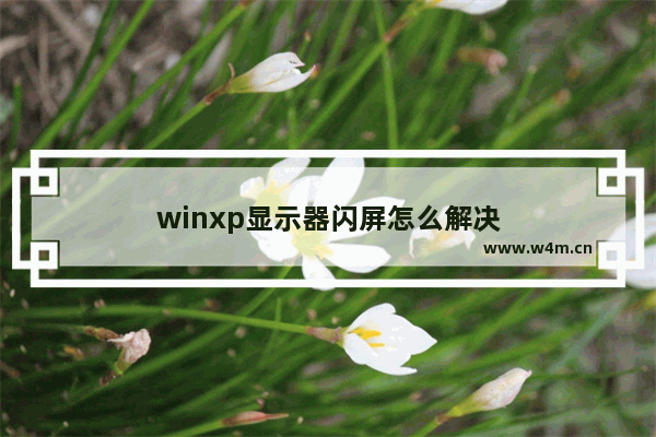 winxp显示器闪屏怎么解决