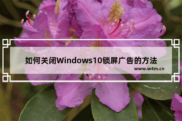 如何关闭Windows10锁屏广告的方法