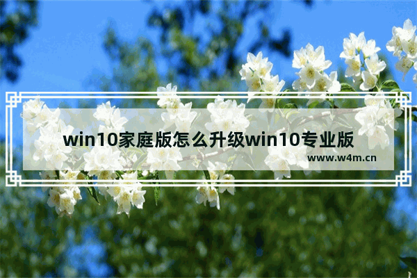 win10家庭版怎么升级win10专业版 win10家庭版升级专业版方法介绍