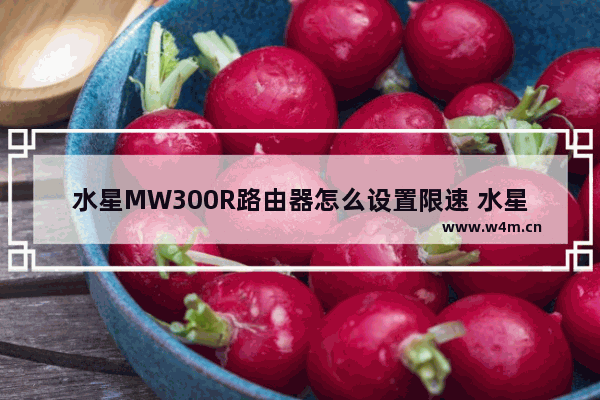 水星MW300R路由器怎么设置限速 水星MW300R路由器设置限速方法