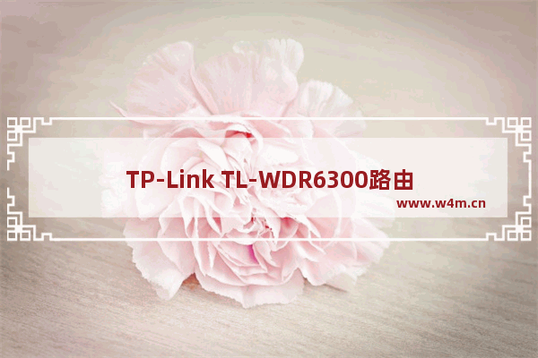 TP-Link TL-WDR6300路由器端口转发(虚拟服务器)设置上网