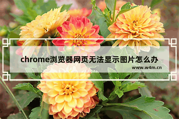 chrome浏览器网页无法显示图片怎么办