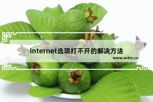 internet选项打不开的解决方法