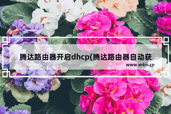 腾达路由器开启dhcp(腾达路由器自动获取ip地址怎么设置)