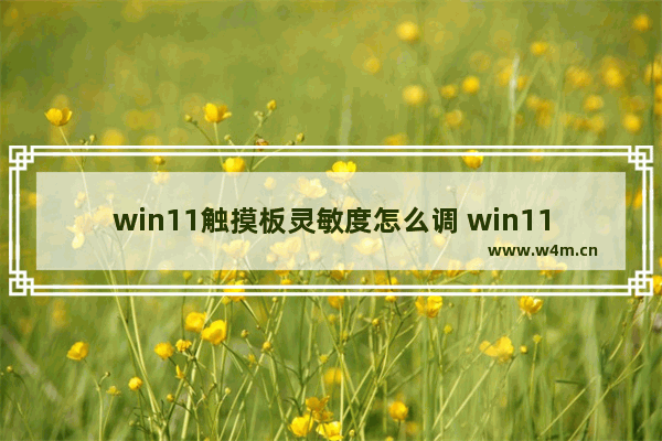 win11触摸板灵敏度怎么调 win11触摸板灵敏度调节步骤