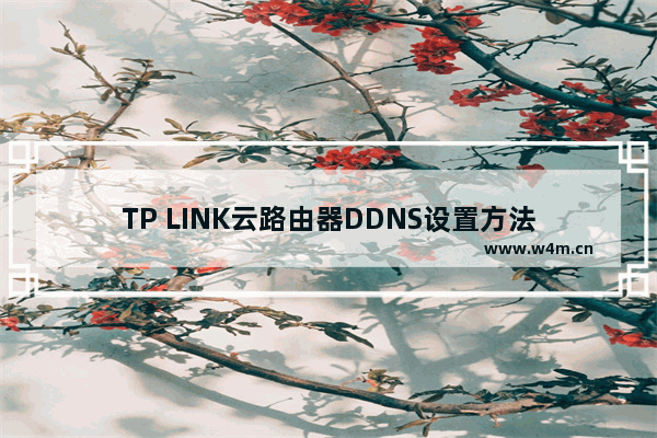 TP LINK云路由器DDNS设置方法