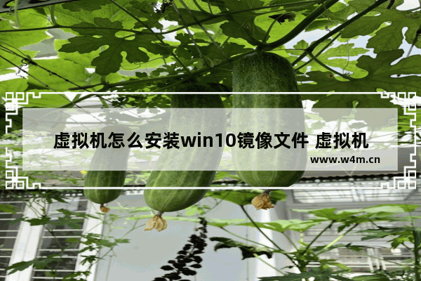 虚拟机怎么安装win10镜像文件 虚拟机安装win10镜像文件方法