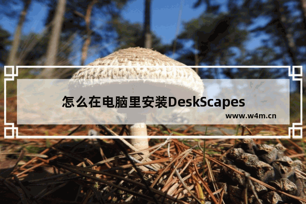 怎么在电脑里安装DeskScapes