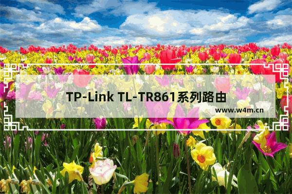 TP-Link TL-TR861系列路由器拨号设置上网