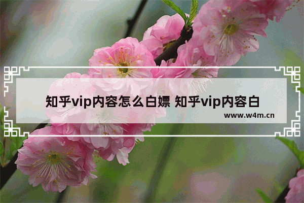 知乎vip内容怎么白嫖 知乎vip内容白嫖方法