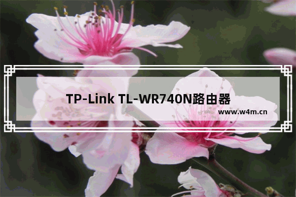 TP-Link TL-WR740N路由器端口映射(虚拟服务器)设置