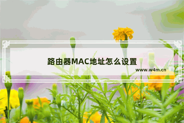 路由器MAC地址怎么设置