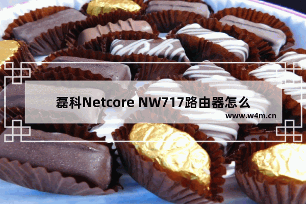 磊科Netcore NW717路由器怎么恢复出厂设置方法