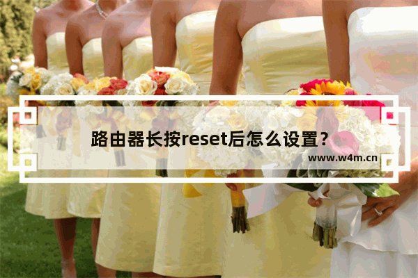 路由器长按reset后怎么设置？