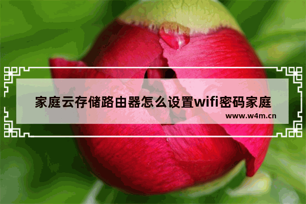 家庭云存储路由器怎么设置wifi密码家庭云存储路由器如何重置密码