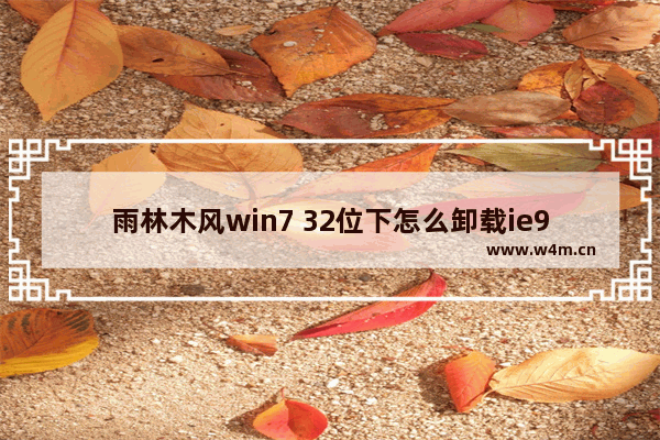 雨林木风win7 32位下怎么卸载ie9