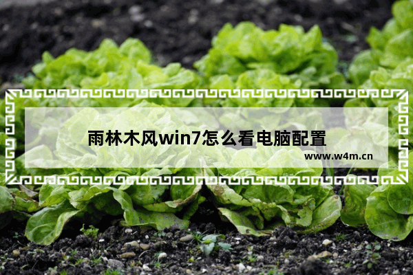 雨林木风win7怎么看电脑配置