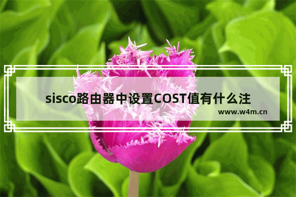 sisco路由器中设置COST值有什么注意事项