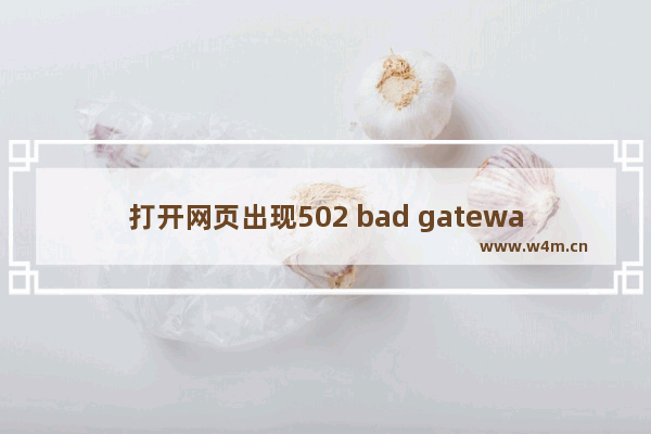 打开网页出现502 bad gateway怎么解决