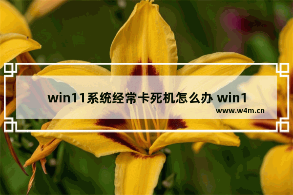 win11系统经常卡死机怎么办 win11系统经常卡死机解决方法