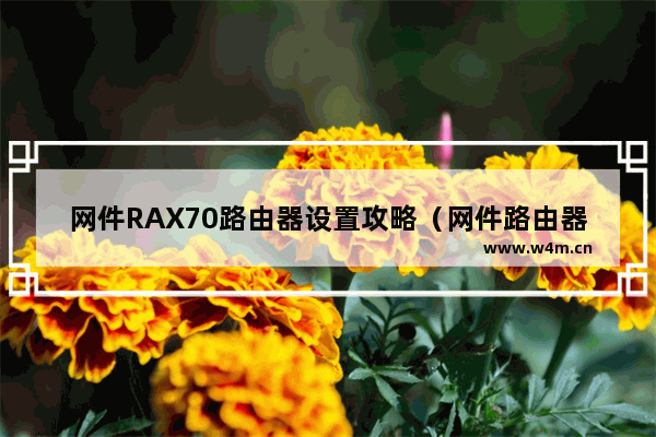 网件RAX70路由器设置攻略（网件路由器测评）