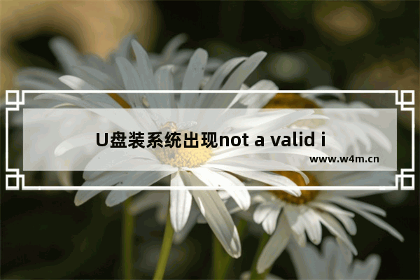 U盘装系统出现not a valid image file怎么解决？