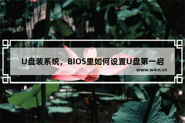 U盘装系统，BIOS里如何设置U盘第一启动项？