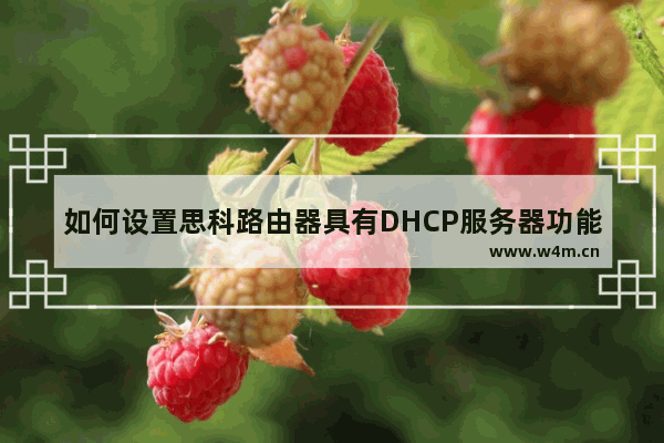 如何设置思科路由器具有DHCP服务器功能