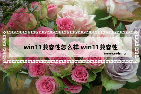 win11兼容性怎么样 win11兼容性详细介绍