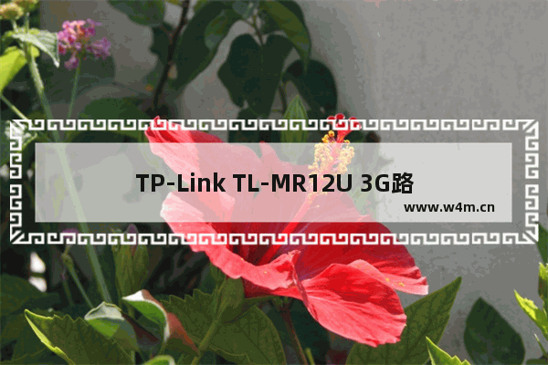 TP-Link TL-MR12U 3G路由器Router模式上网设置上网