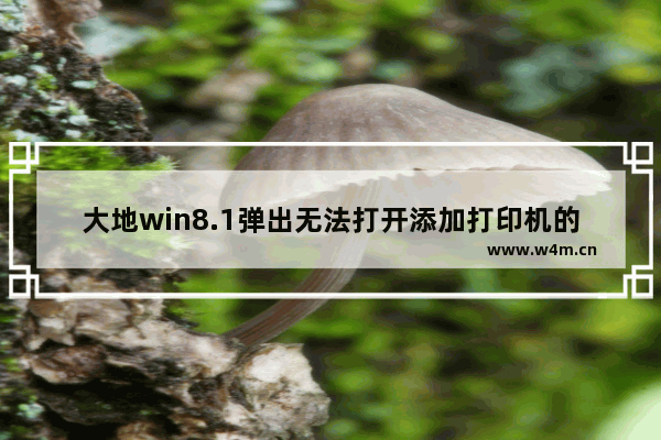 大地win8.1弹出无法打开添加打印机的窗口是什么情况