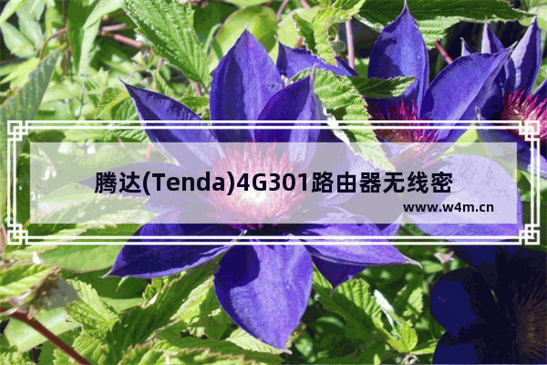 腾达(Tenda)4G301路由器无线密码与名称设置方法