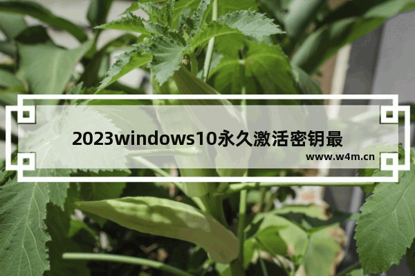 2023windows10永久激活密钥最新 windows10永久激活密钥大全