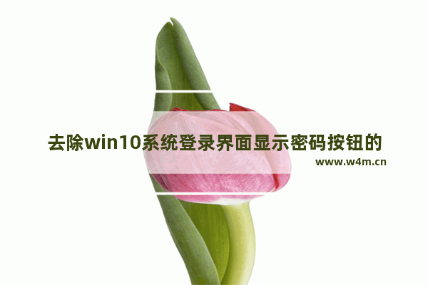 去除win10系统登录界面显示密码按钮的方法