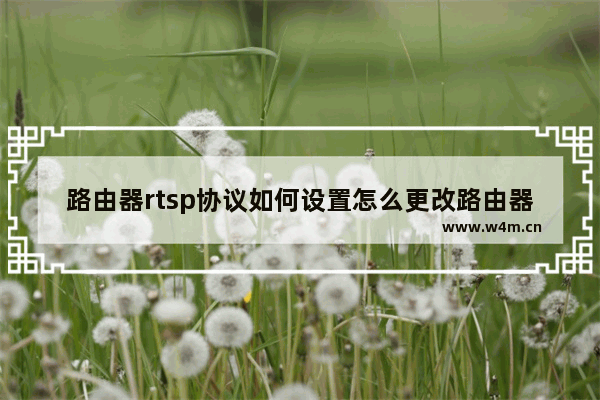 路由器rtsp协议如何设置怎么更改路由器无线上网协议