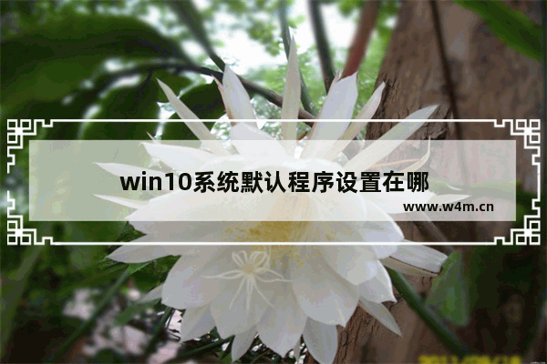 win10系统默认程序设置在哪