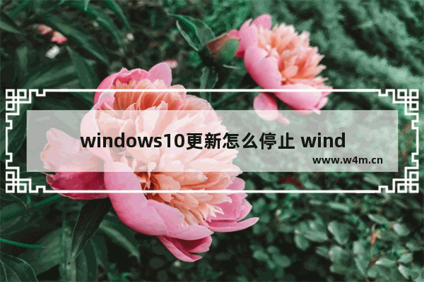 windows10更新怎么停止 windows10更新怎么停止方法介绍