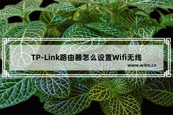 TP-Link路由器怎么设置Wifi无线网络?