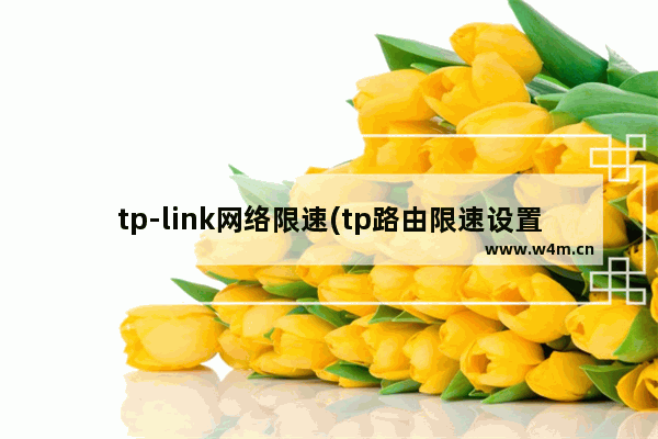 tp-link网络限速(tp路由限速设置方法)