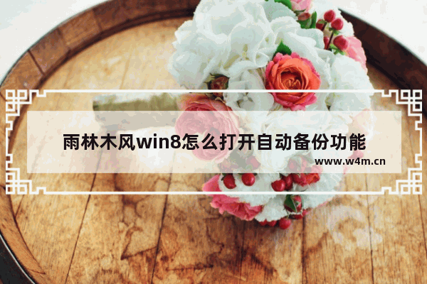 雨林木风win8怎么打开自动备份功能