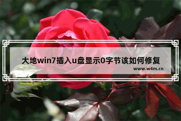 大地win7插入u盘显示0字节该如何修复