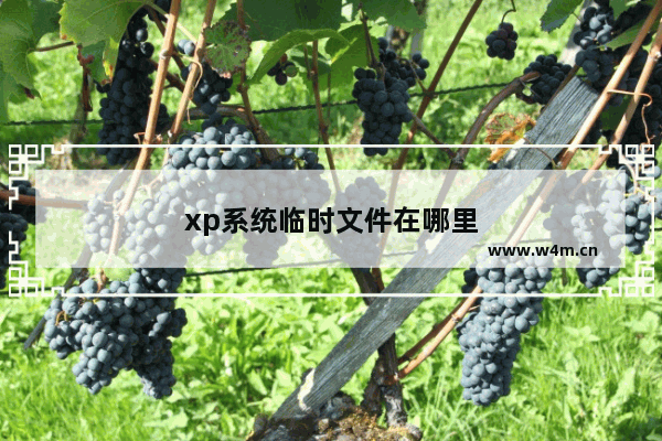 xp系统临时文件在哪里