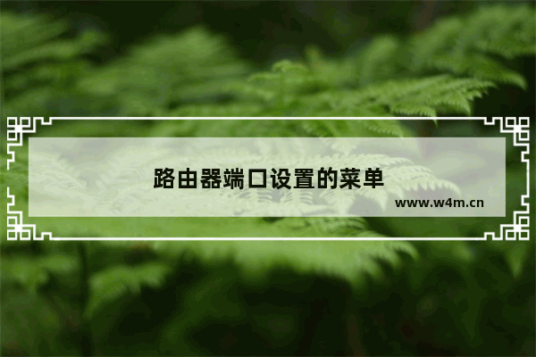 路由器端口设置的菜单