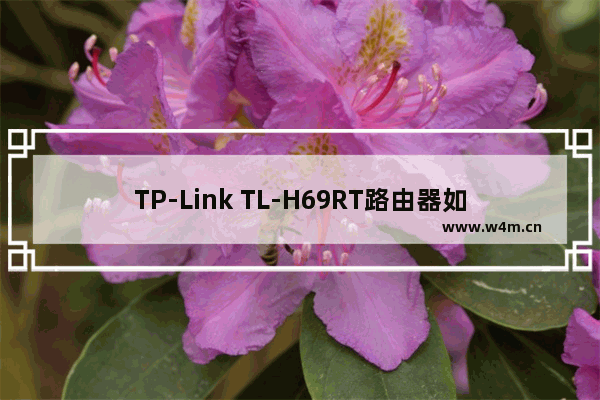 TP-Link TL-H69RT路由器如何设置上网