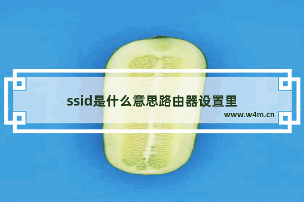 ssid是什么意思路由器设置里