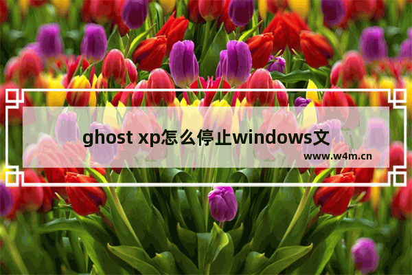 ghost xp怎么停止windows文件保护